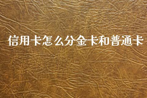 信用卡怎么分金卡和普通卡_https://m.jnlaobingbanjia.com_理财规划_第1张