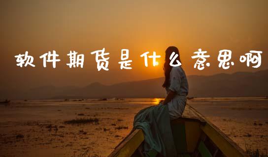 软件期货是什么意思啊_https://m.jnlaobingbanjia.com_股市新闻_第1张