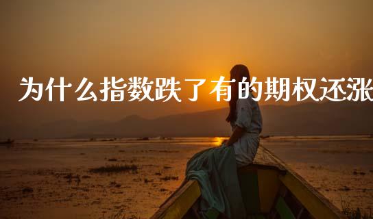 为什么指数跌了有的期权还涨_https://m.jnlaobingbanjia.com_理财规划_第1张