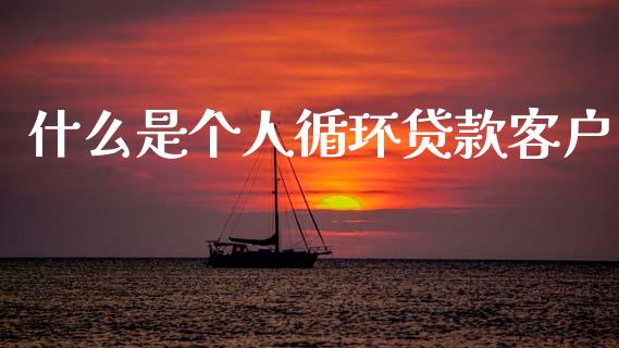 什么是个人循环贷款客户_https://m.jnlaobingbanjia.com_金融监管_第1张