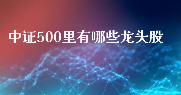 中证500里有哪些龙头股_https://m.jnlaobingbanjia.com_股市新闻_第1张