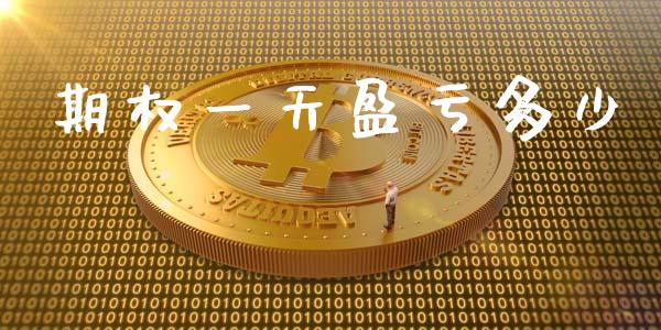 期权一天盈亏多少_https://m.jnlaobingbanjia.com_全球市场_第1张