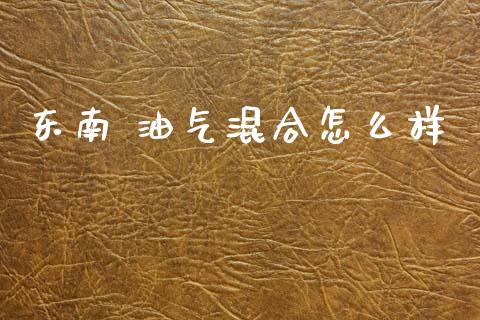 东南 油气混合怎么样_https://m.jnlaobingbanjia.com_全球市场_第1张