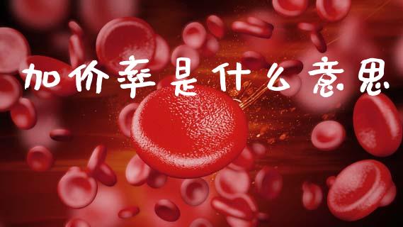 加价率是什么意思_https://m.jnlaobingbanjia.com_理财规划_第1张