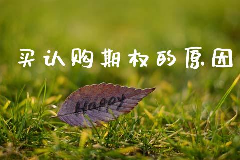 买认购期权的原因_https://m.jnlaobingbanjia.com_理财规划_第1张