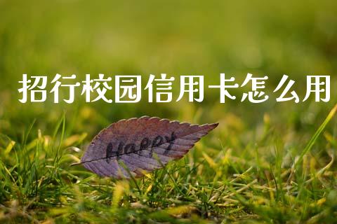 招行校园信用卡怎么用_https://m.jnlaobingbanjia.com_金融监管_第1张