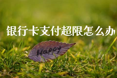 银行卡支付超限怎么办_https://m.jnlaobingbanjia.com_全球市场_第1张