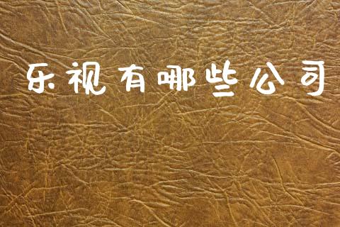 乐视有哪些公司_https://m.jnlaobingbanjia.com_理财规划_第1张
