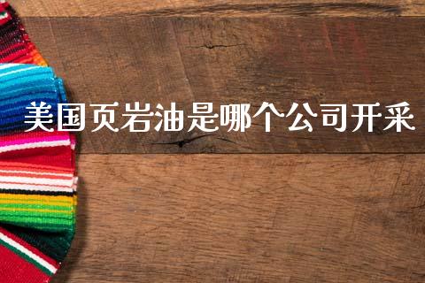 美国页岩油是哪个公司开采_https://m.jnlaobingbanjia.com_理财规划_第1张