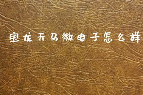 宝龙天马微电子怎么样_https://m.jnlaobingbanjia.com_全球市场_第1张