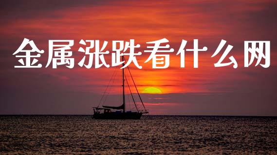 金属涨跌看什么网_https://m.jnlaobingbanjia.com_金融监管_第1张