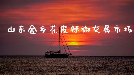 山东金乡花皮辣椒交易市场_https://m.jnlaobingbanjia.com_股市新闻_第1张