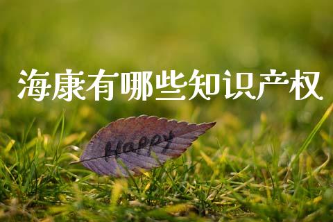海康有哪些知识产权_https://m.jnlaobingbanjia.com_全球市场_第1张