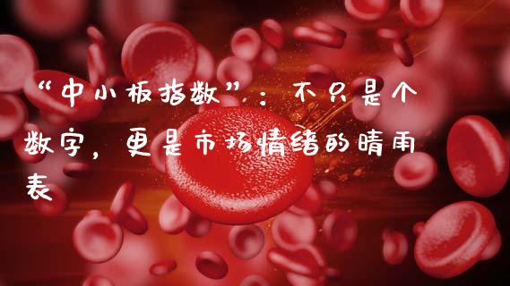 “中小板指数”：不只是个数字，更是市场情绪的晴雨表_https://m.jnlaobingbanjia.com_股市新闻_第1张