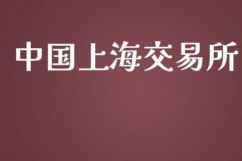 中国上海交易所_https://m.jnlaobingbanjia.com_理财规划_第1张