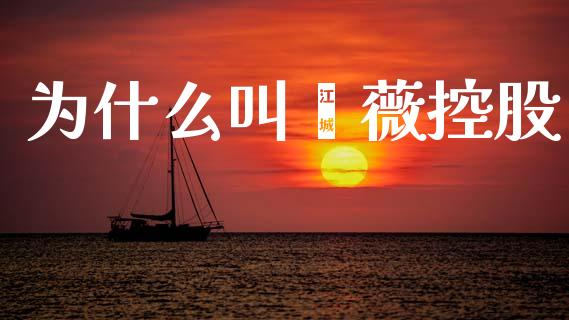 为什么叫蔷薇控股_https://m.jnlaobingbanjia.com_全球市场_第1张