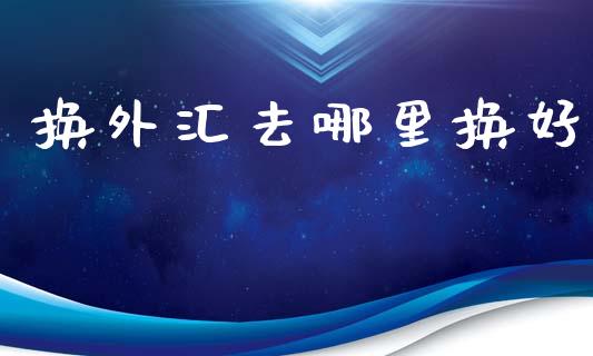 换外汇去哪里换好_https://m.jnlaobingbanjia.com_金融监管_第1张