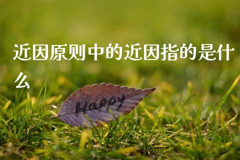 近因原则中的近因指的是什么_https://m.jnlaobingbanjia.com_区块链_第1张