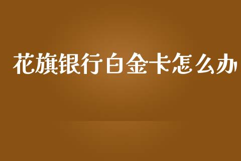 花旗银行白金卡怎么办_https://m.jnlaobingbanjia.com_理财规划_第1张