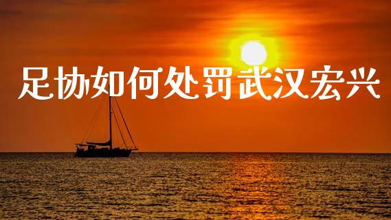 足协如何处罚武汉宏兴_https://m.jnlaobingbanjia.com_股市新闻_第1张
