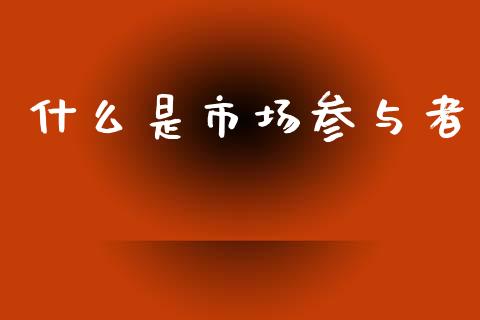 什么是市场参与者_https://m.jnlaobingbanjia.com_理财规划_第1张